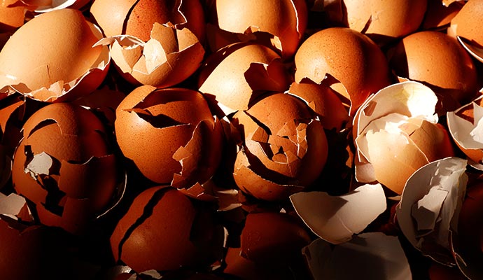 A close-up pile of many broken and cracked brown eggshells