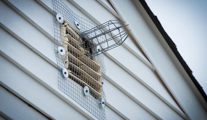 One way squirrel exit tunnel