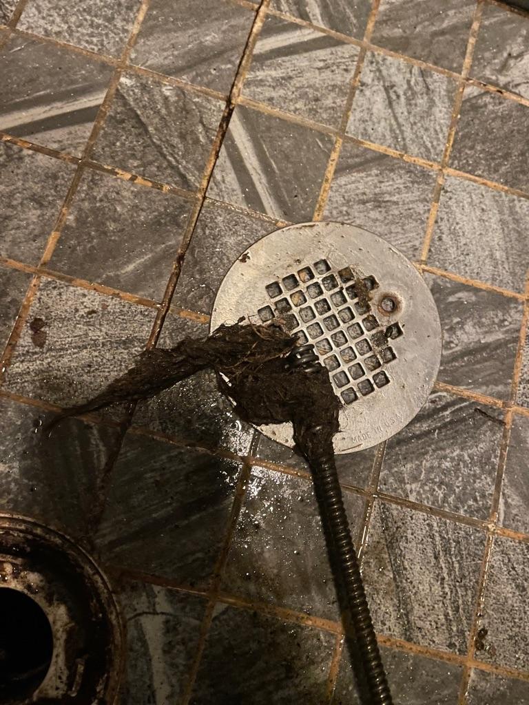 Hair in Drain