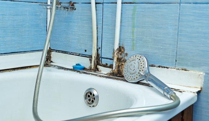 Mold growth around bathtub and shower Mold growth around bathtub and shower