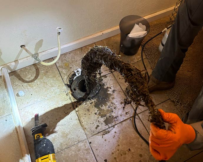 Clogged drain cleanout with root blockage