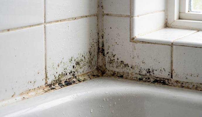 Mold growth around bathtub corner
